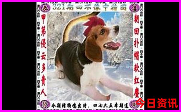 抚顺十大免费景点